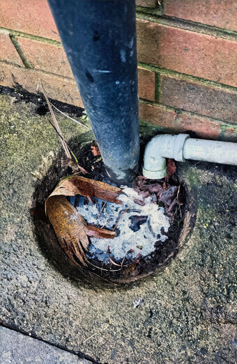 https://plumbergosnells.com.au/uploads/2025/06/blocked-drains-294506.jpg