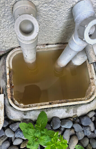 https://plumbergosnells.com.au/uploads/2025/06/blocked-drains-912576.jpg
